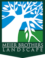 Meier Brothers Landscape